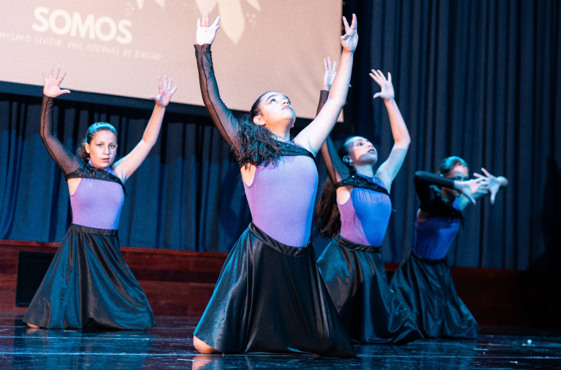 Comunidad — muestra anual